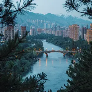 科技狗怎么睡觉